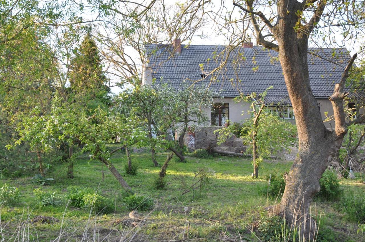 Ferienhaus Caselow 23 Bergholz Exterior foto
